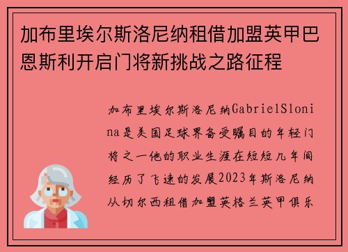 加布里埃尔斯洛尼纳租借加盟英甲巴恩斯利开启门将新挑战之路征程